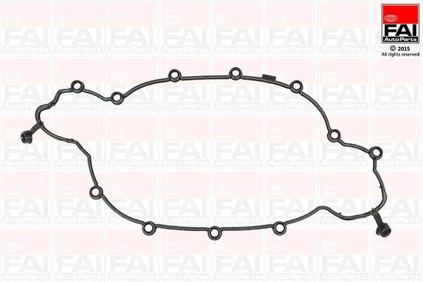 FAI AUTOPARTS Прокладка, крышка головки цилиндра RC1601S